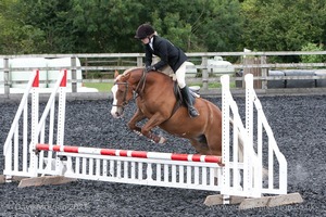 Class 3 -  Fences not above 2'3